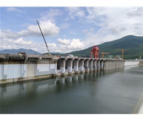 T100系列無溶劑刷涂聚脲防水涂料